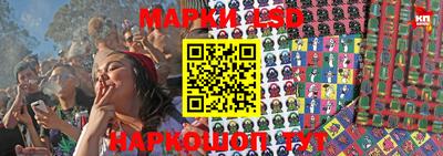гашик Славянск-на-Кубани