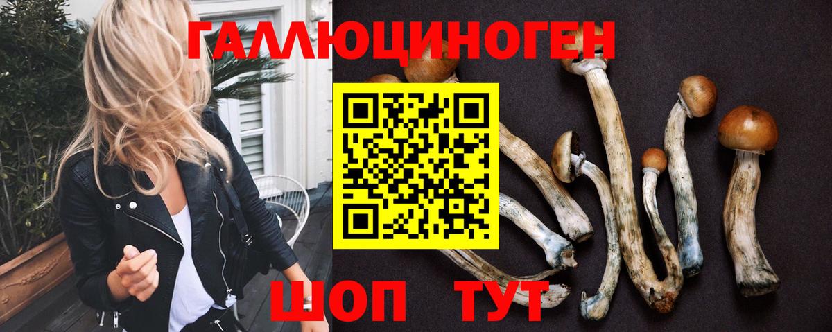 купить закладку  Вход с VPN  Сланцы  Галлюциногенные грибы GOLDEN TEACHER 