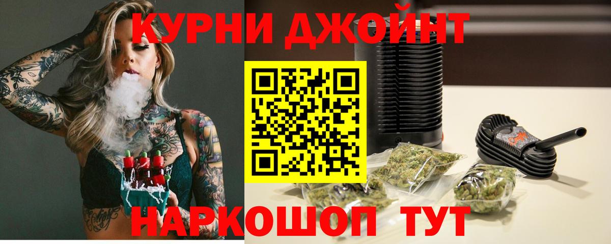 Конопля план Сланцы